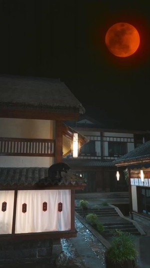 大夏無仙：唯他是神