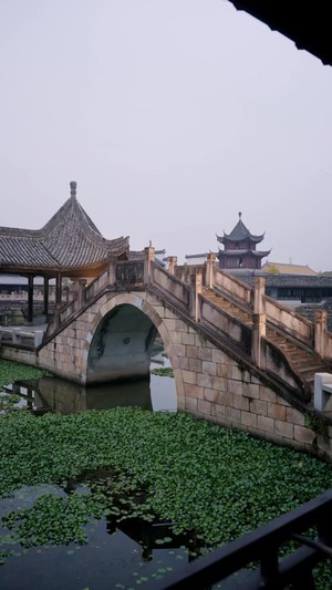 제황업
