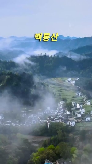 운명적인 결혼