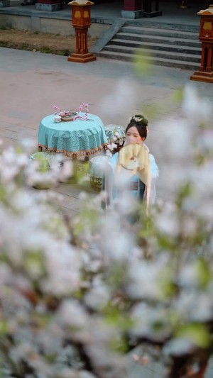 逆凰宮心計