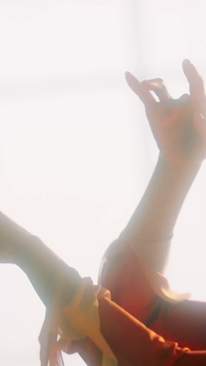 La danza perdida (doblado)