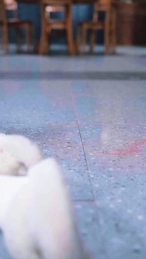 惡毒女婿別惹我