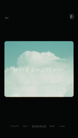 青春暴雨下的我們